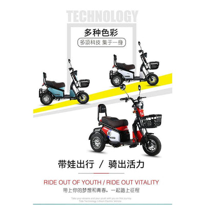 Phoenix Family Mini Pick Up Children Adult Battery Car Scooter Electric Tricycle