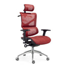 Desiny Ergonomic Mesh Office Chair Full Mesh Ergonomic Chair High Back Computer Chair With Lifting