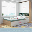 Modern Minimalist Tatami Storage Bed Economy 1.5mm Bed Nordic 1.8m High Box Double Bed