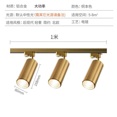 🔥In Stock🔥 Nordic Gold Surface Mounted Spotlight Living Room Dining Room Household Ceiling