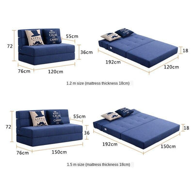 BEIMU Small Sofa Small Apartment Living Room 1.5m Double Sofa Multi-function Bed Sofa Bed Simple