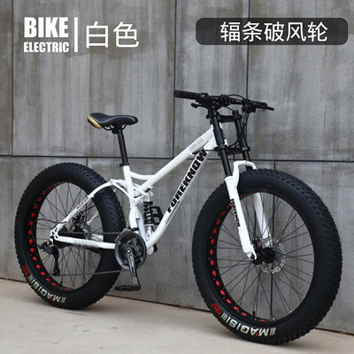 Mountain Bicycle Adult Off-roader Beach Snow Bike 4.0 Tire Male and Female Student Variable Speed