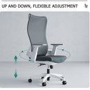 Desiny Office Chair High Back Ergonomic Chair Fixed Handle Study Chair