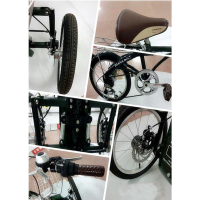 Phoenix Bicycle Tricycle Suspension 6-speed Variable Speed Bicycle