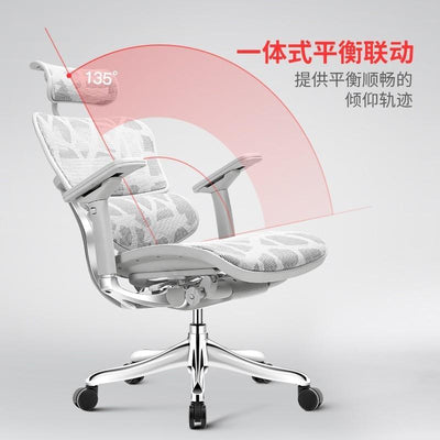 Ergonor Jinhao E Elite Edition Computer Chair Ergonomic Chair Office Chair Reclining Waist Support