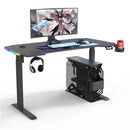 Desiny RGB Height Adjustable Table 140/160cm Electric Standing Desk Computer Table Home Furniture