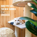 Large Honeypot Nest Tree Integrated Climbing Catgrass Rack Cat Toy Sf