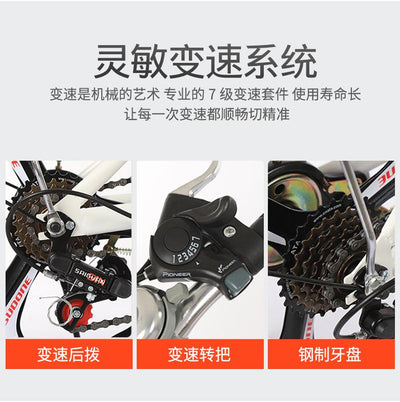 Phoenix🚴‍♀️Folding Bike Spot Road Bikes Ready Stockfolding Bicycles, Women''s Lightweight Portable