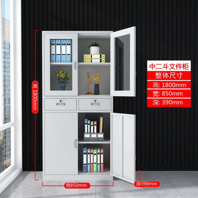 Iron File Data Wuhan Financial Voucher Cabinet, Office Cabinet