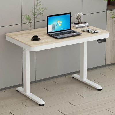 Desiny Electric Height Adjustable Table Removable Computer Table With Drawer Study Table