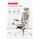 Desiny Ergonomic Chair Office Chair to Have Dazzle Ergonomic Chair Computer Home Office Boss Waist