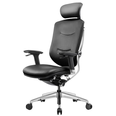 Desiny Ergonomic Chair Office Chair to Have Dazzle Ergonomic Chair Computer Home Office Boss Waist