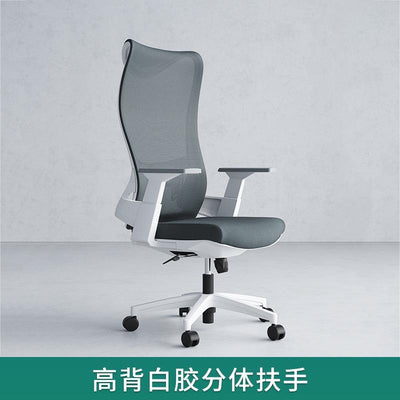 Desiny Office Chair High Back Ergonomic Chair Fixed Handle Study Chair