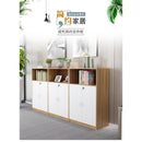 Office Filing Cabinet, Data Cabinet, Low Cabinet, Locker, Bookcase, Office Combination, Floor