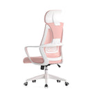 Desiny Office Chair Full Mesh Ergonomic Chair High Back Computer Chair With Clothes Hanger