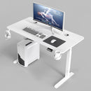 Desiny Height Adjustable Table RGB Gaming Table Standing Desk Computer Table Home Living Furniture