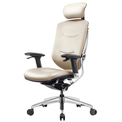 Desiny Ergonomic Chair Office Chair to Have Dazzle Ergonomic Chair Computer Home Office Boss Waist