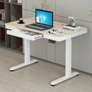 Electric Height Adjustable Table Removable Study Table With Drawer Computer Desk