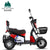 Phoenix Family Mini Pick Up Children Adult Battery Car Scooter Electric Tricycle