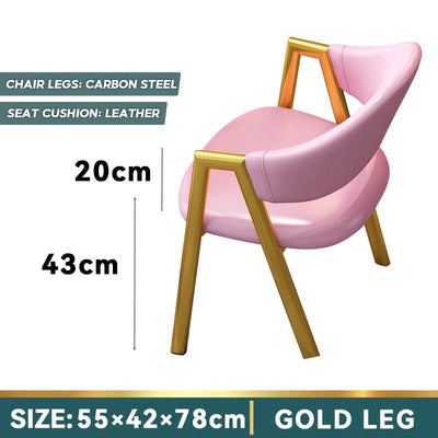 Nordic Backrest Dining Chair Leisure Iron Home Computer Chair Simple Modern Lazy Student Makeup