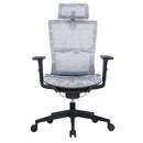 Desiny Ergonomic Mesh Office Chair Full Mesh Ergonomic Chair High Back Computer Chair With Lifting