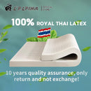 【Natural Latex】Royal Thai Latex Mattress | Hotel Mattress | Pocket Spring | Latex & Memory Foam